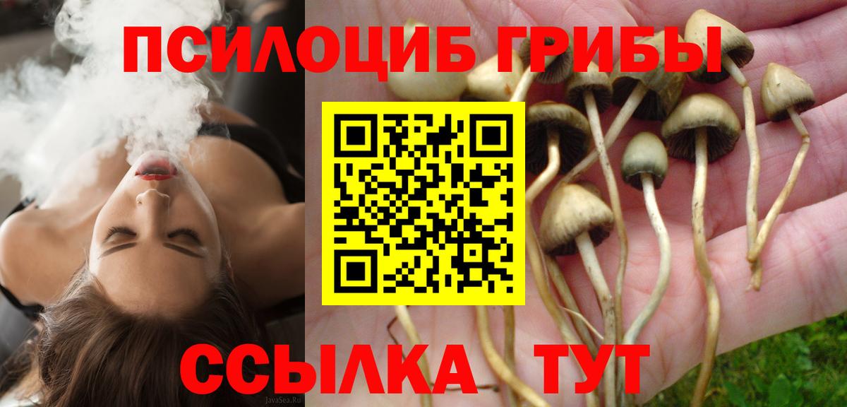 Лиски  Псилоцибиновые грибы Magic Shrooms  Галлюциногенные грибы прущие грибы  Вход с VPN 